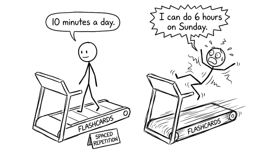 Flashcards treadmill reality