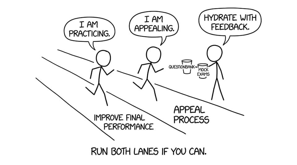 A funny comic about running both lanes: appeal and practice