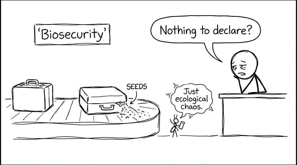 Airport biosecurity joke comic