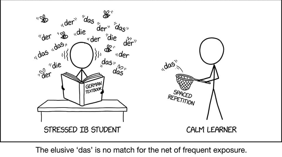 Spaced repetition vs der/die/das chaos