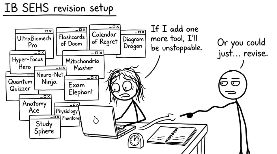 IB SEHS revision setup