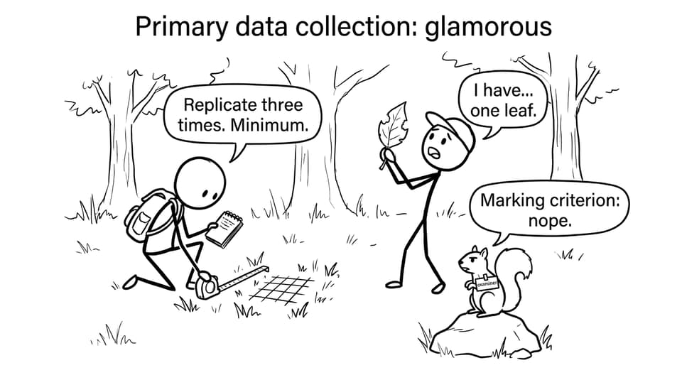Primary data collection: glamorous