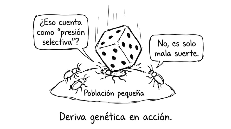 Deriva genética como dado gigante