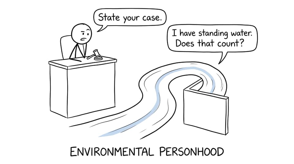 A river makes a pun while arguing for environmental personhood in court