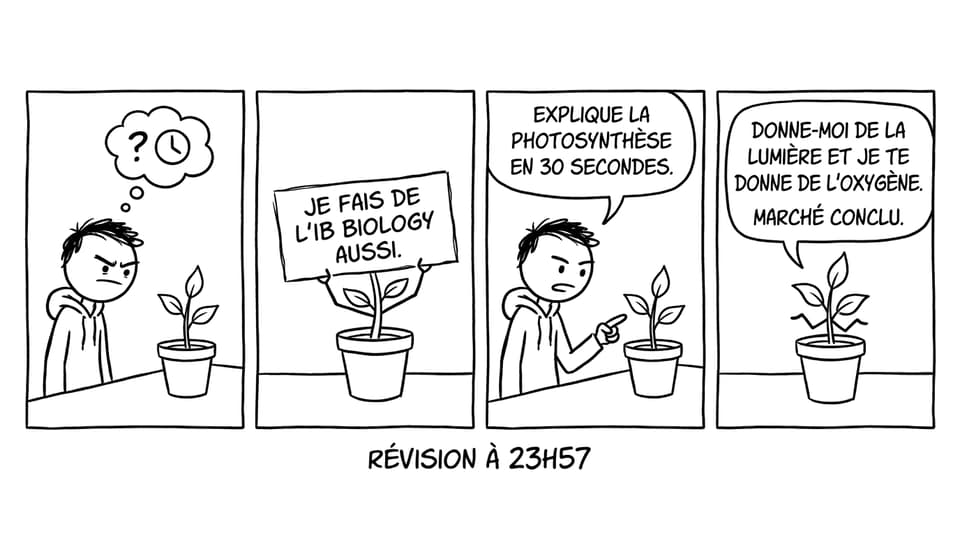 Un élève IB interroge une plante sur la photosynthèse