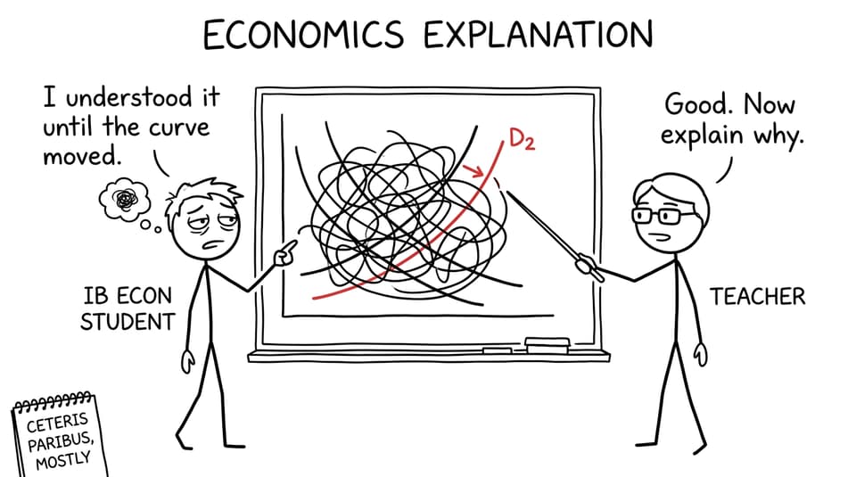 An IB Economics student faces unexpectedly complicated demand and supply curves