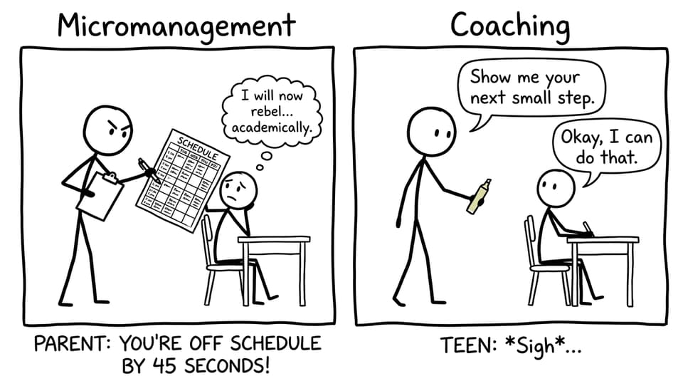 Comic about micromanagement vs coaching