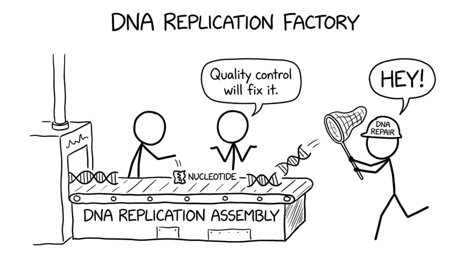 DNA replication factory joke in XKCD comic style