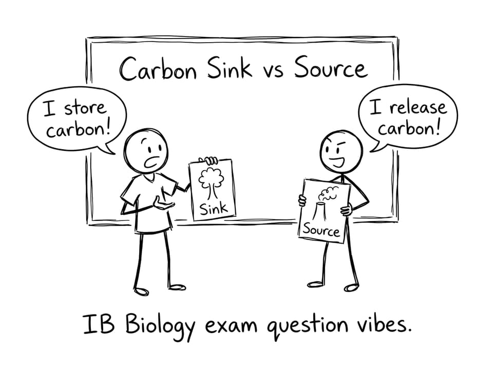 Sink vs Source debate