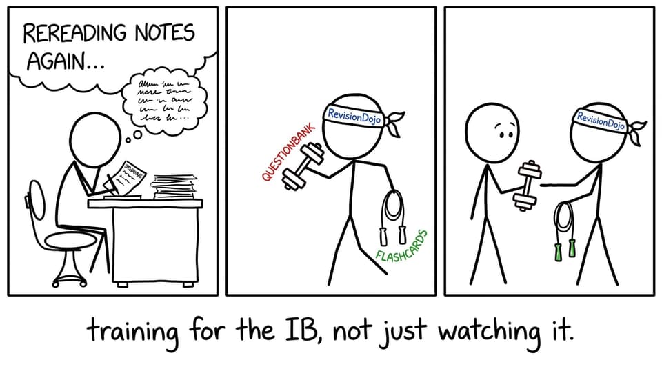 Training for the IB with RevisionDojo