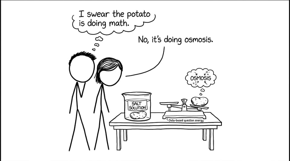 Two students doing potato osmosis data