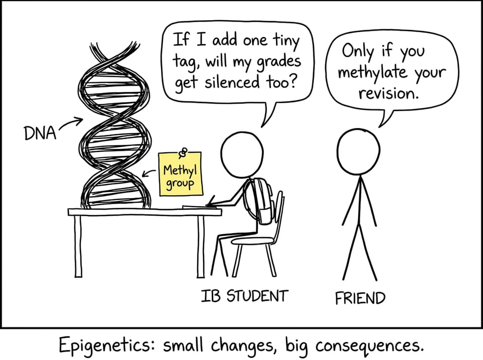 IB student methylates revision notes