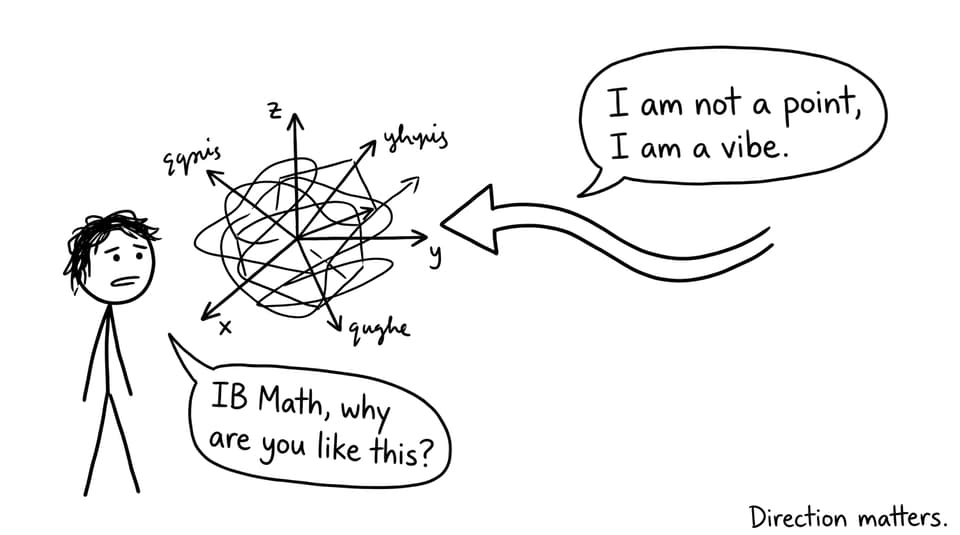 An IB student meets a vector “vibe”