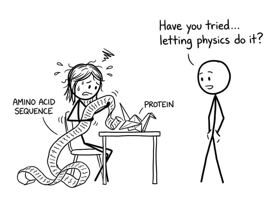 IB student tries to fold a sequence into a protein