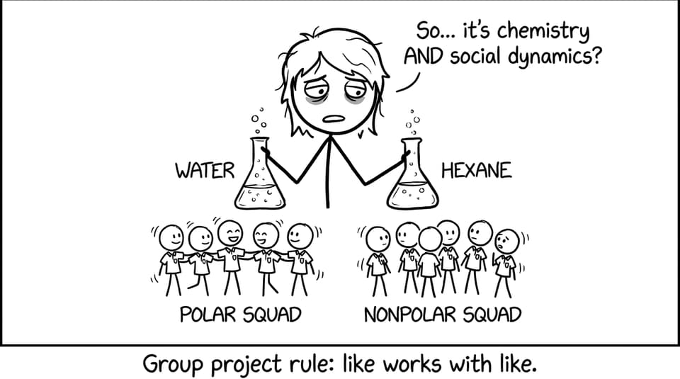 Like dissolves like group project