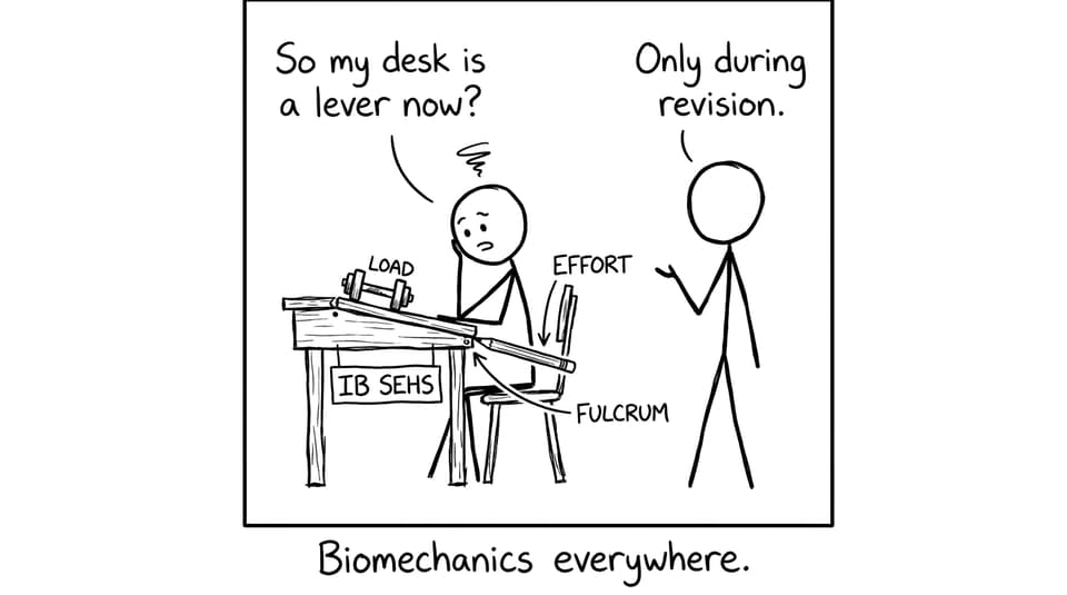 IB SEHS desk lever joke
