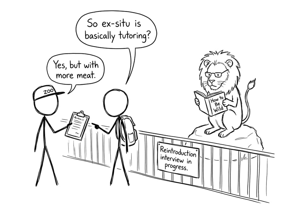 XKCD comic about ex-situ “tutoring”