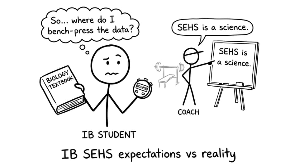 IB SEHS expectations vs reality