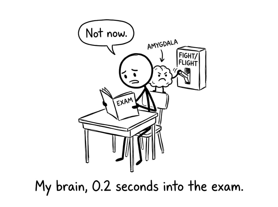 My brain, 0.2 seconds into the exam.