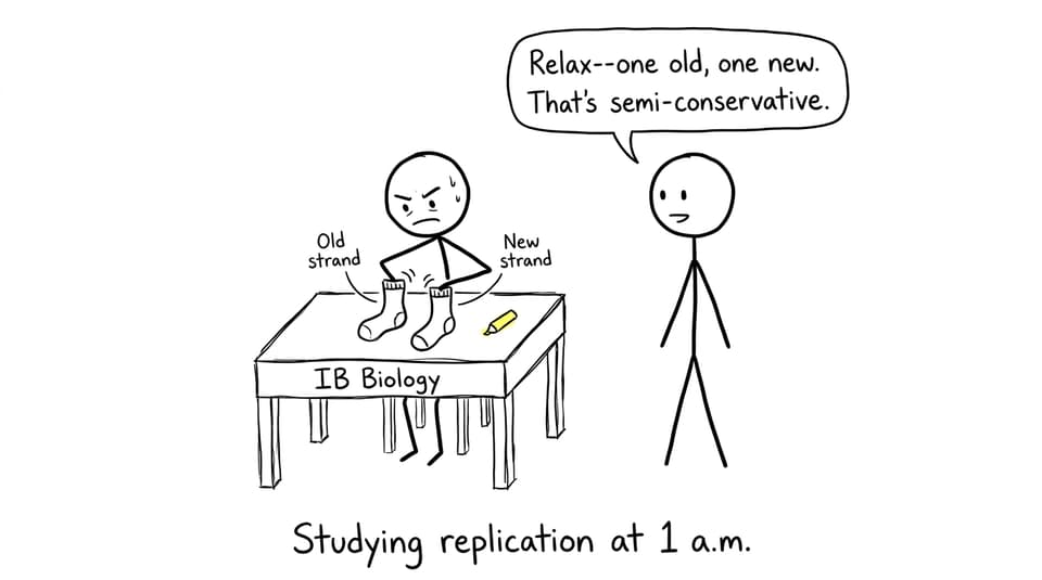 Studying replication at 1 a.m.