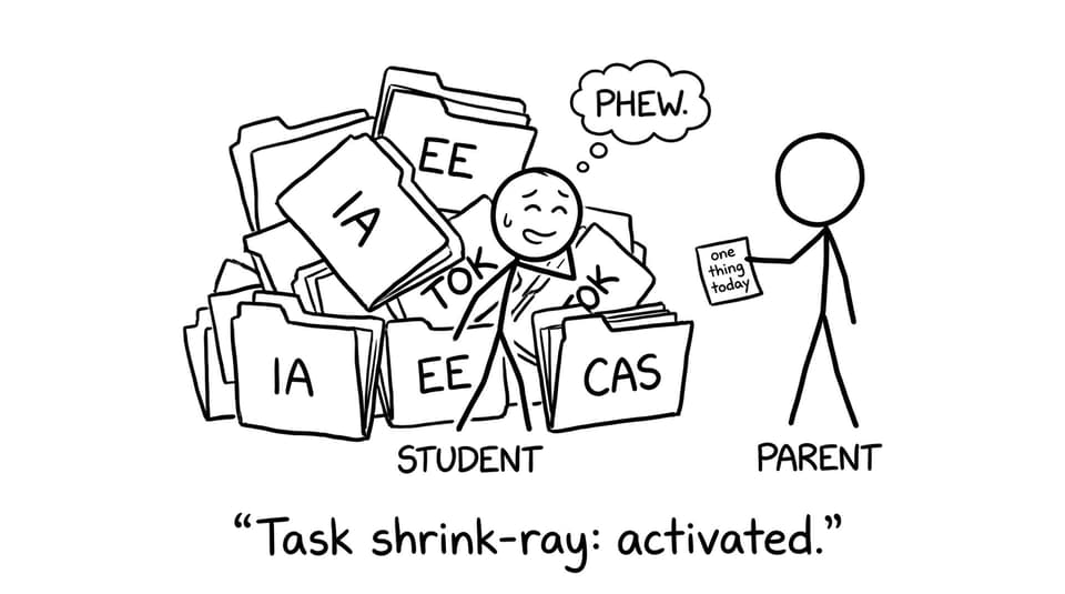 Student vs mountain of IB tasks