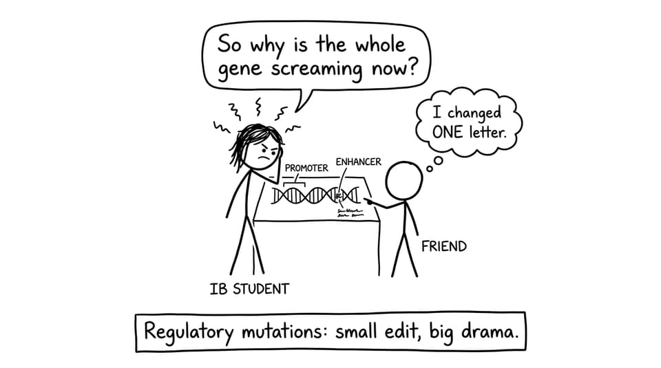 Regulatory mutations: small edit, big drama