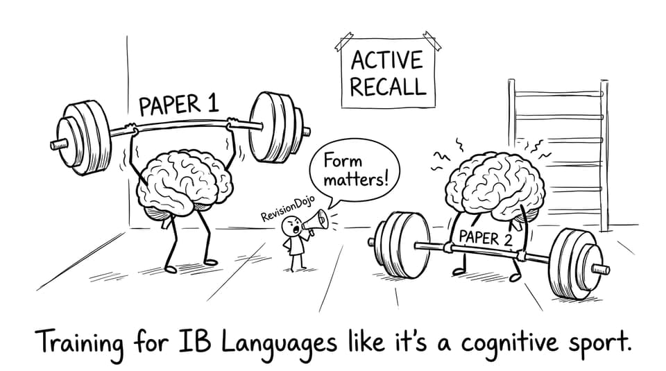 Brains training for Paper 1 and Paper 2