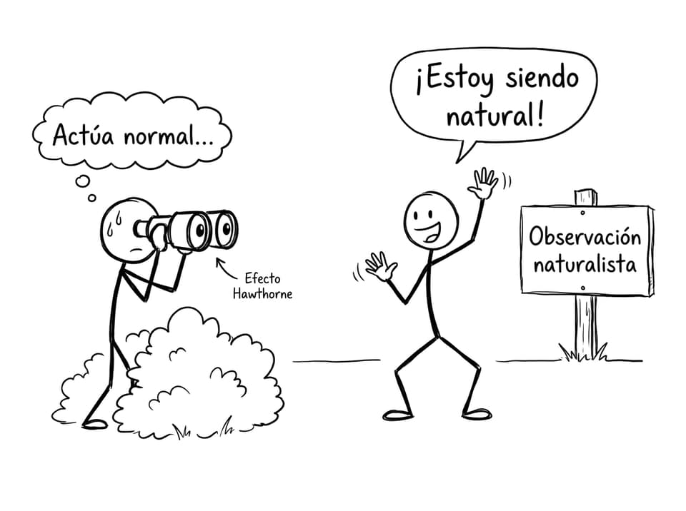 Observación naturalista y el efecto Hawthorne