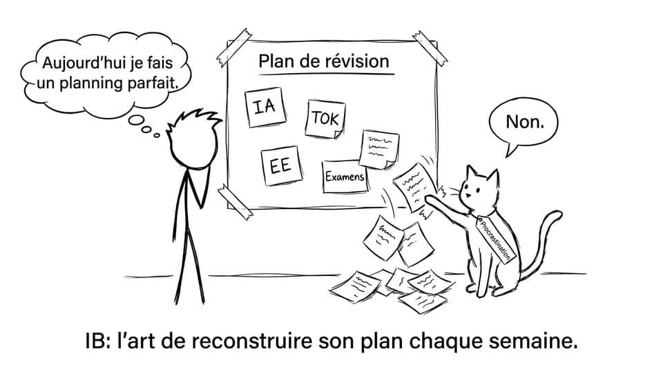 IB: l'art de reconstruire son plan chaque semaine.
