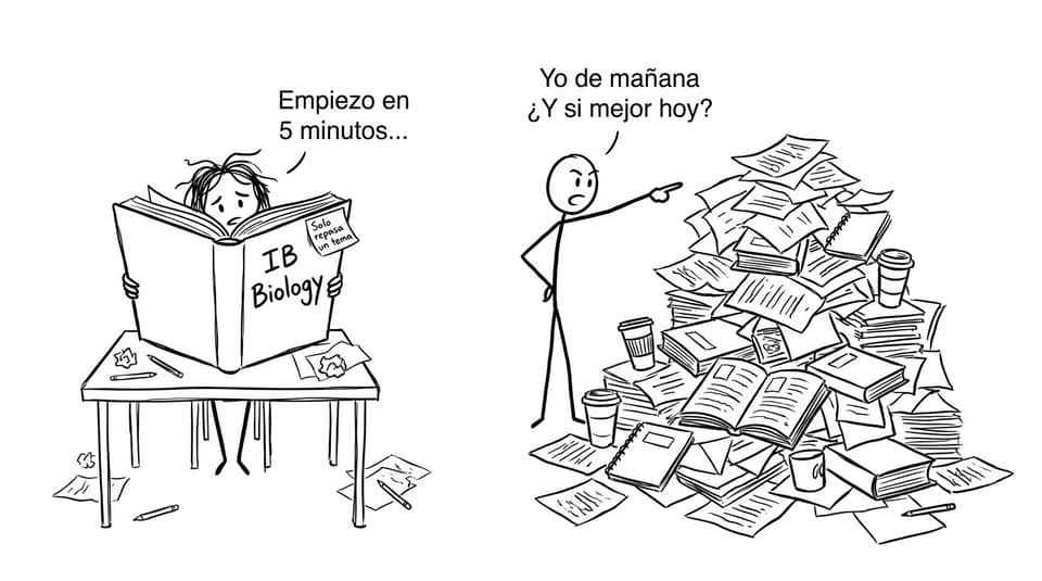 Estudiante posponiendo IB Biology