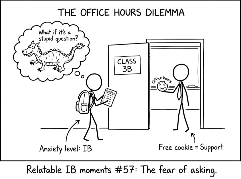 IB student vs the "stupid question" dragon