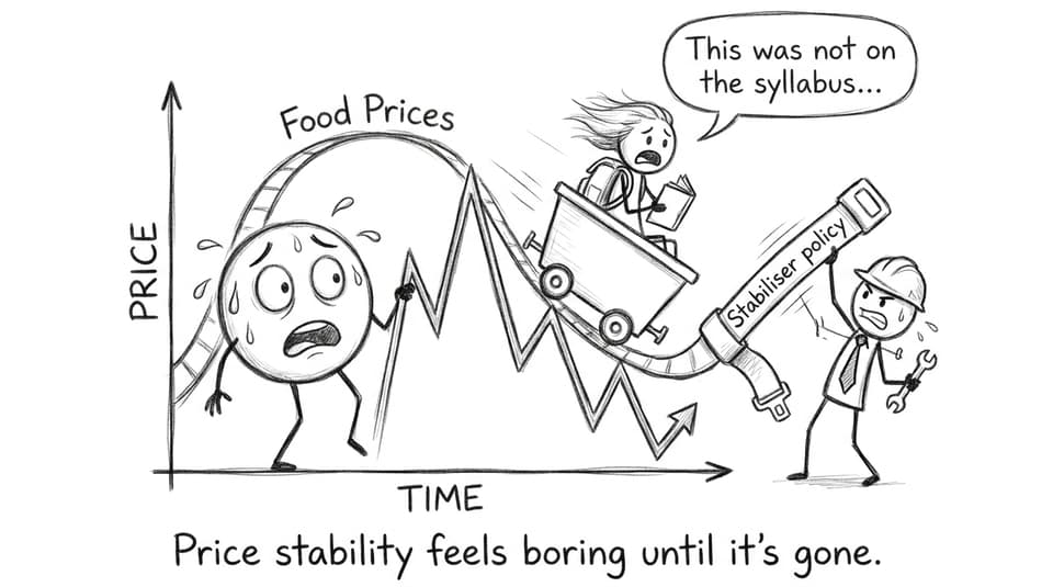 A price graph rollercoaster getting a policy seatbelt