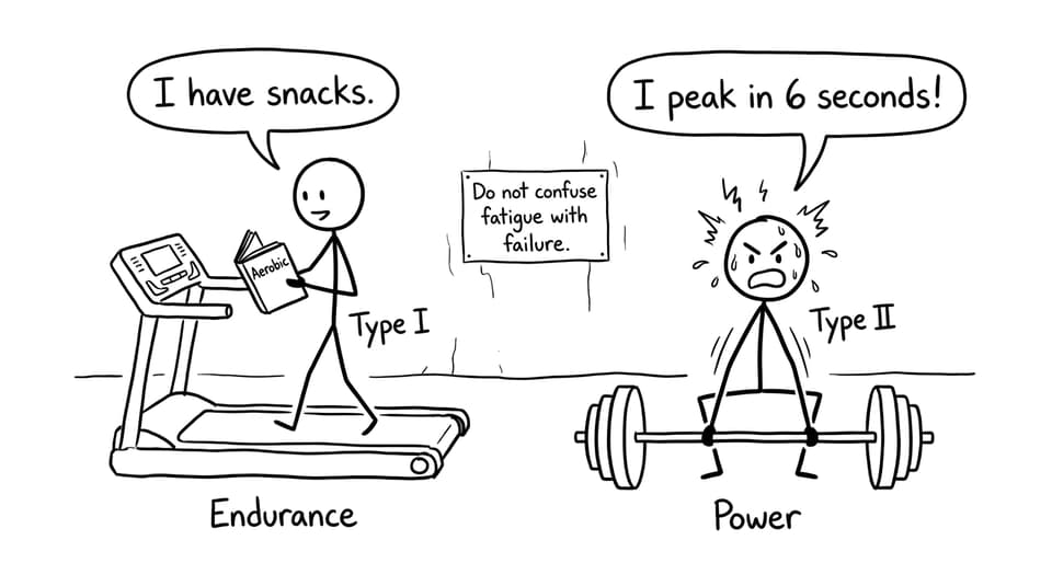 Endurance vs power fibres comic