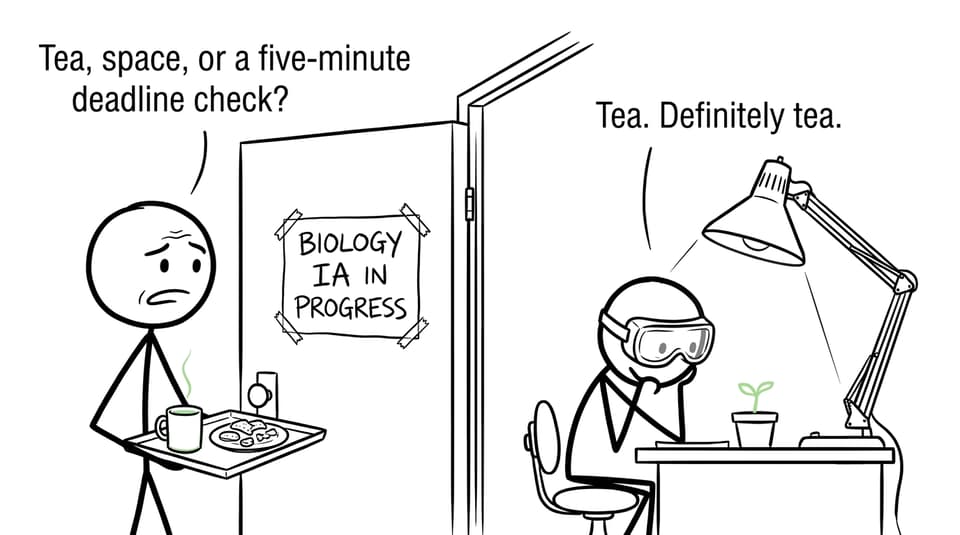 A parent offers tea while an IB Biology investigation continues