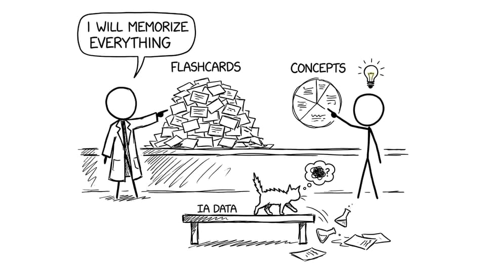 Flashcards vs concepts vs IA chaos