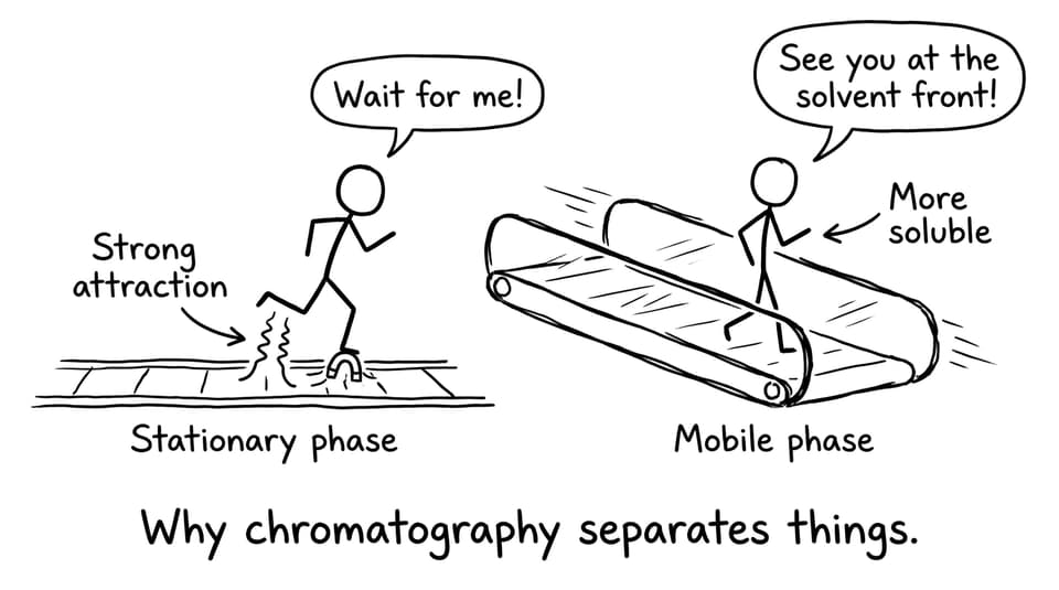 A funny “chromatography runners” comic