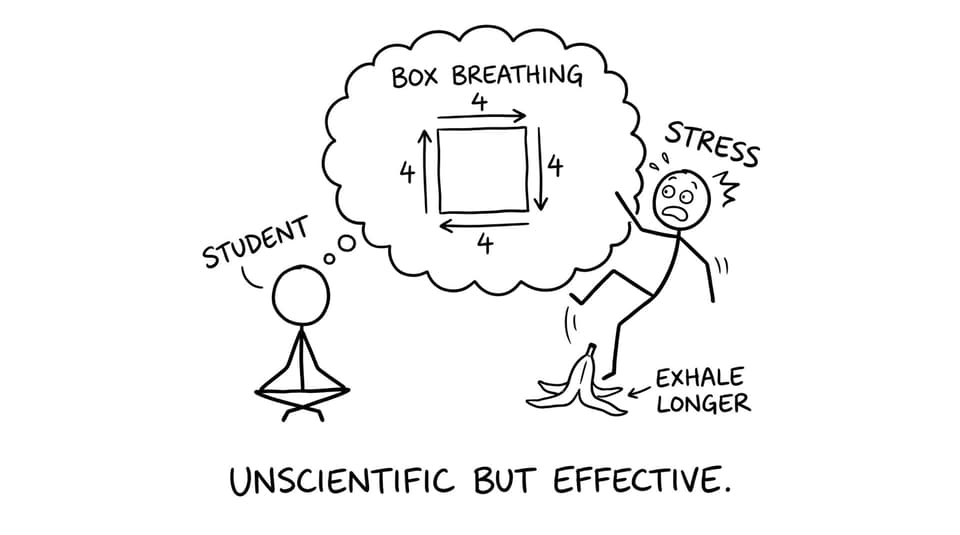 Box breathing vs Stress slipping on a banana peel