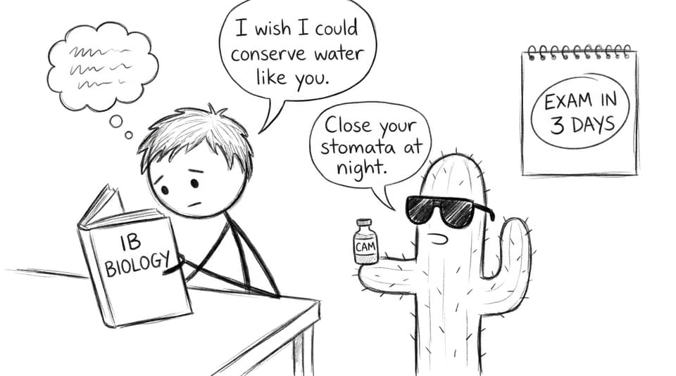 A cactus giving exam-week advice