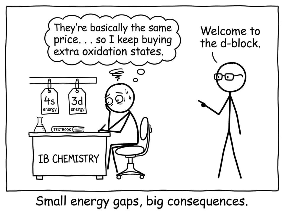 Student comparing 4s and 3d energy tags