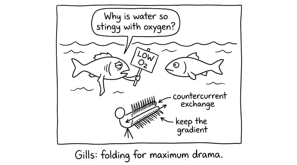 Fish complaining about low oxygen