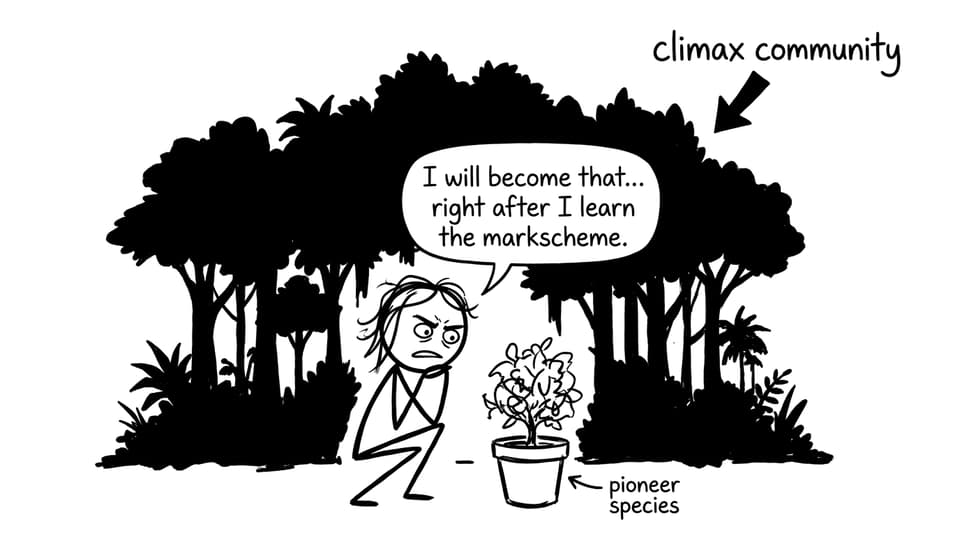 A stressed IB student vs. a "climax community" deadline