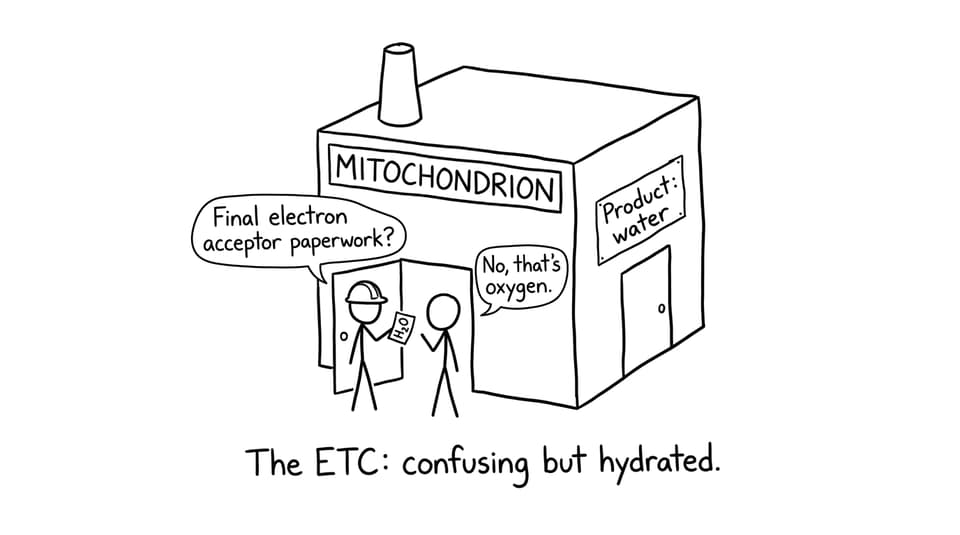 ETC water confusion comic