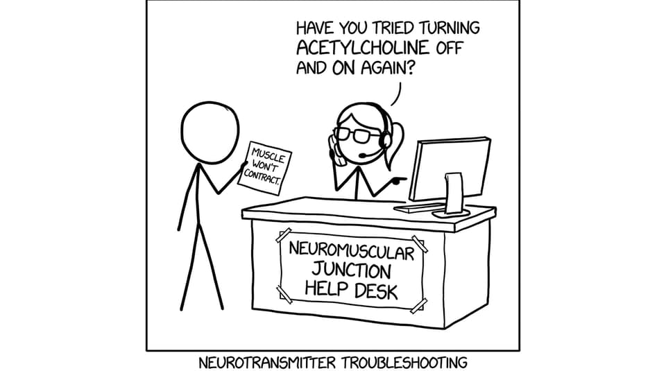Neuromuscular junction help desk