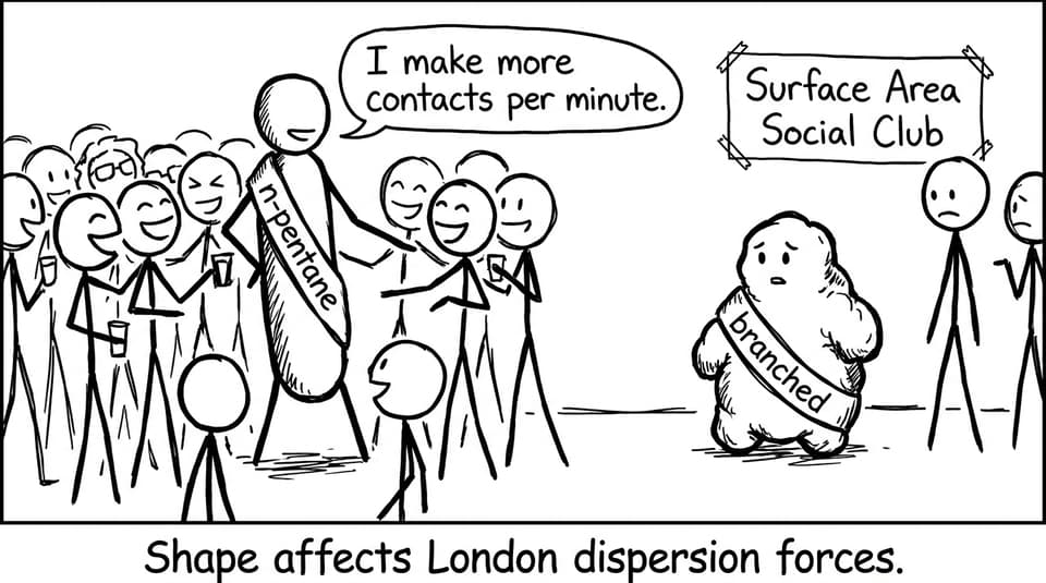 Shape affects London dispersion forces.