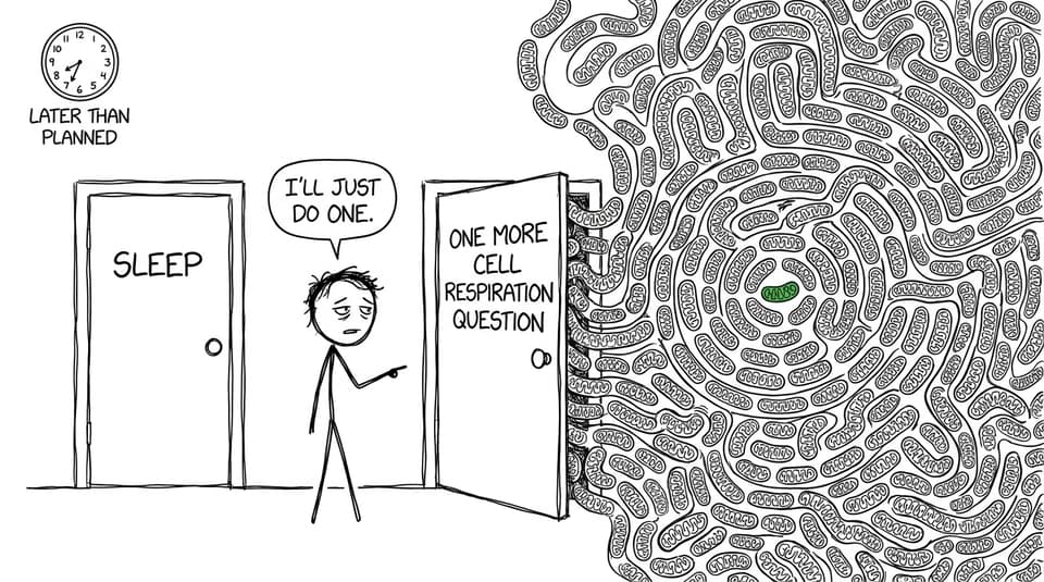 Comic of a Biology student choosing between sleep and one more cell respiration question
