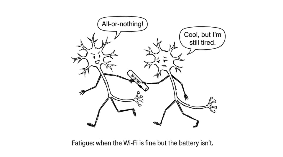 Neuron relay race fatigue joke