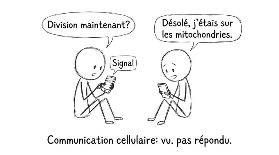 Communication cellulaire: vu. pas répondu.