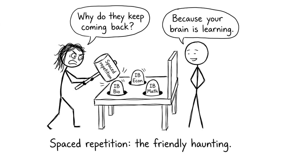 Comic about spaced repetition whack-a-mole