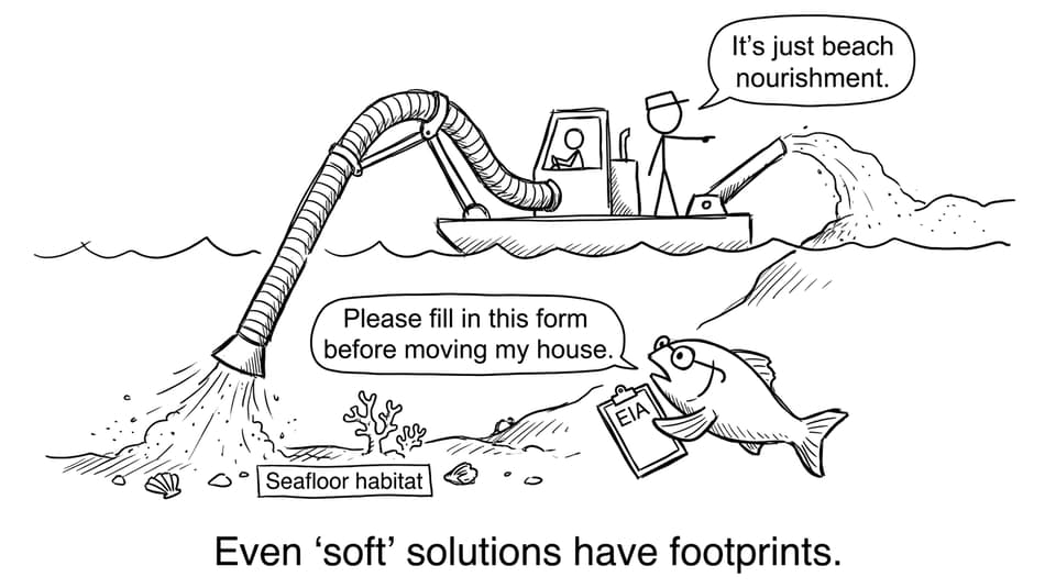 Beach nourishment fish EIA joke