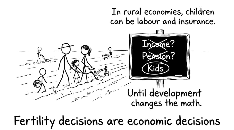 Fertility decisions are economic decisions